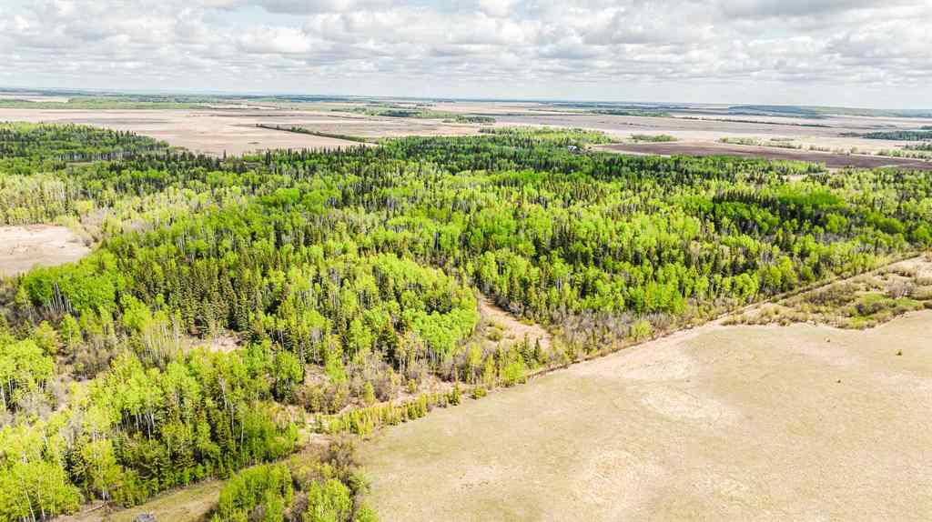 MLS&reg; # A2269963 - NW-19-81-9-W6 Highway 681   in NONE Rural Saddle Hills County, Agri-Business Open Houses