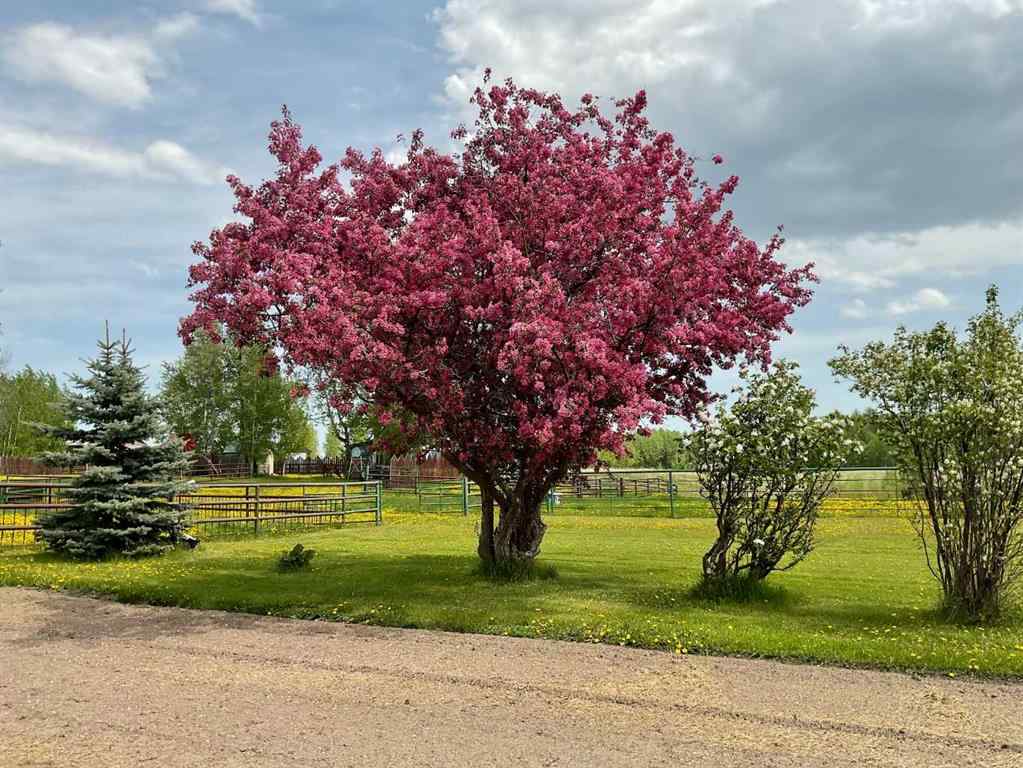 MLS&reg; # A2269983 - 370043 Range Road 6-1   in NONE Rural Clearwater County, Residential Open Houses