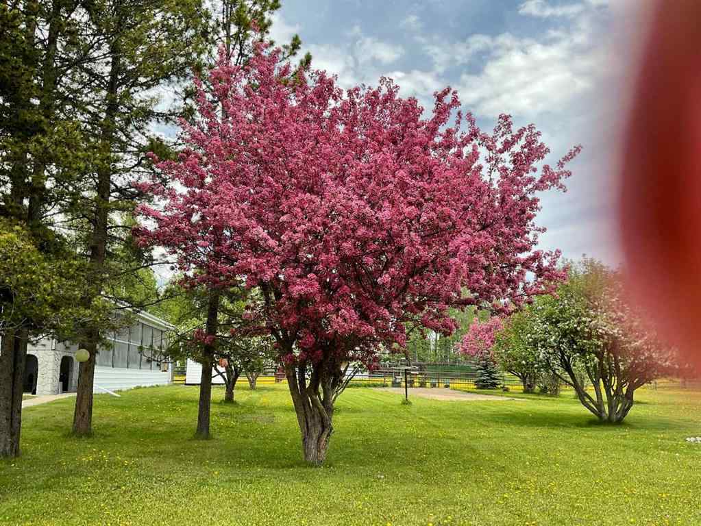 MLS&reg; # A2269983 - 370043 Range Road 6-1   in NONE Rural Clearwater County, Residential Open Houses