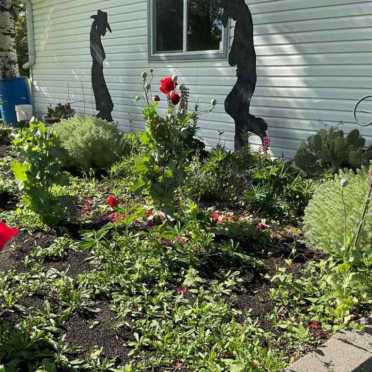 MLS&reg; # A2269983 - 370043 Range Road 6-1   in NONE Rural Clearwater County, Residential Open Houses