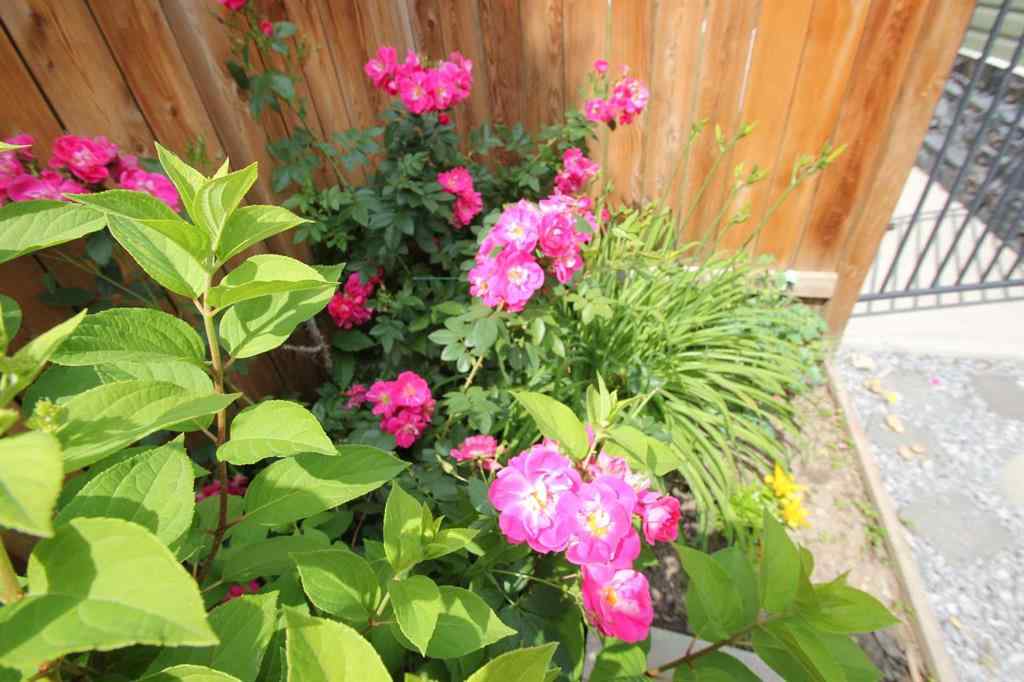 MLS&reg; # A2269998 - 4109 51A Street  in Michener Hill Red Deer, Residential Open Houses