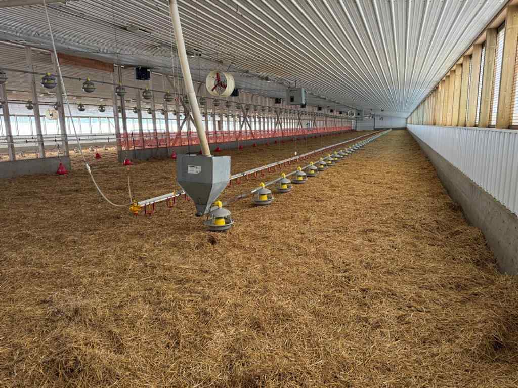 MLS® # A2270043 - 21351 TWP 443   in NONE Ferintosh, Agri-Business Open Houses