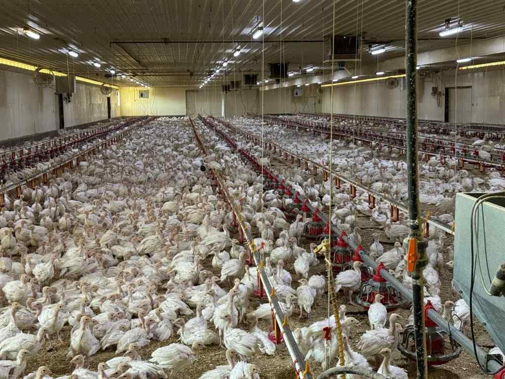 MLS® # A2270043 - 21351 TWP 443   in NONE Ferintosh, Agri-Business Open Houses