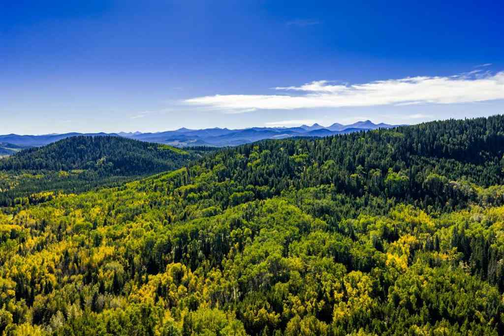 MLS&reg; # A2270045 - 231031 Forestry Way  in West Bragg Creek Bragg Creek, Residential Open Houses