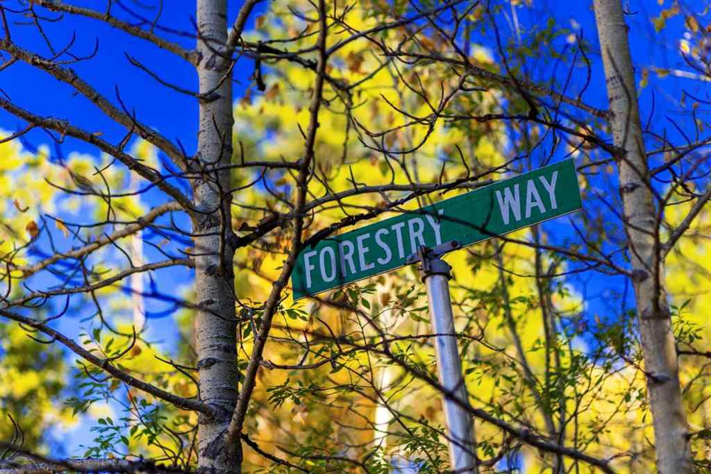 MLS&reg; # A2270045 - 231031 Forestry Way  in West Bragg Creek Bragg Creek, Residential Open Houses