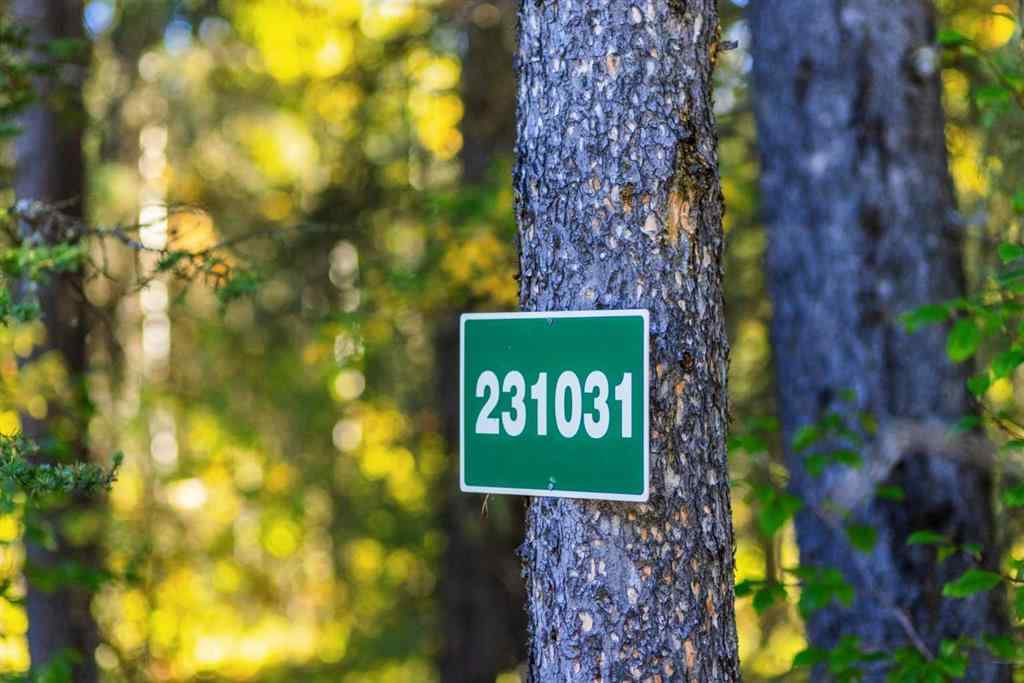 MLS&reg; # A2270045 - 231031 Forestry Way  in West Bragg Creek Bragg Creek, Residential Open Houses