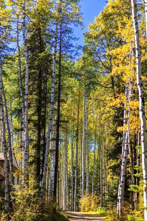 MLS&reg; # A2270045 - 231031 Forestry Way  in West Bragg Creek Bragg Creek, Residential Open Houses