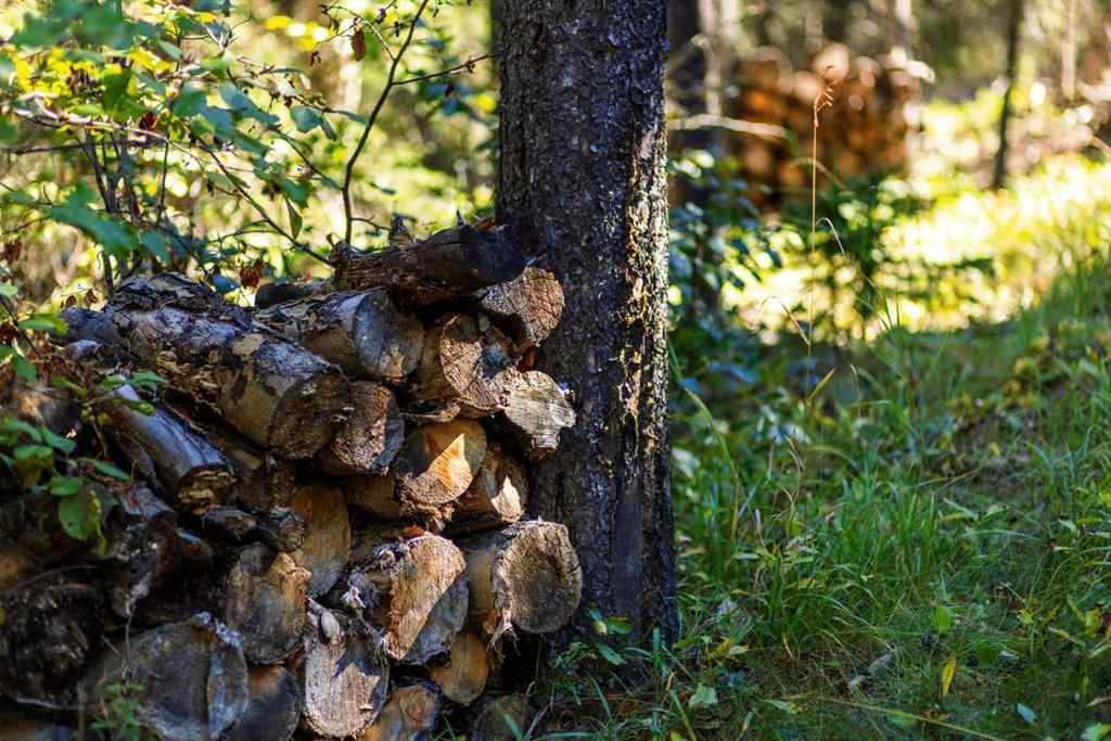 MLS&reg; # A2270045 - 231031 Forestry Way  in West Bragg Creek Bragg Creek, Residential Open Houses