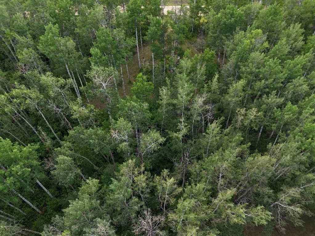 MLS® # A2270049 - NW 19-48- 2-W5   in NONE Warburg, Land Open Houses