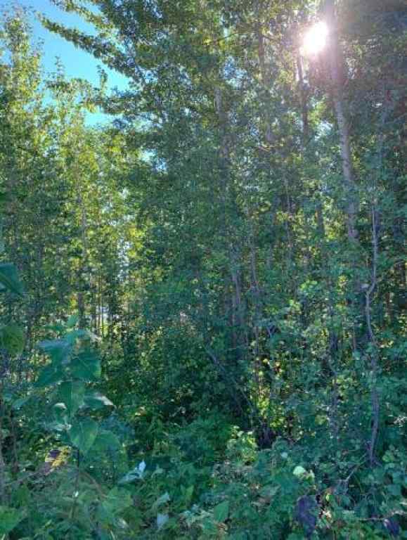 MLS&reg; # A2270065 - 9815 99 Ave   in Lac La Biche Lac La Biche, Land Open Houses