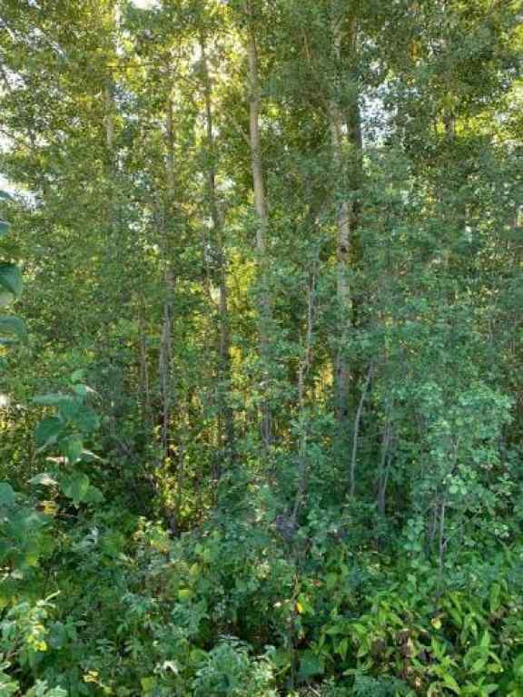 MLS&reg; # A2270065 - 9815 99 Ave   in Lac La Biche Lac La Biche, Land Open Houses