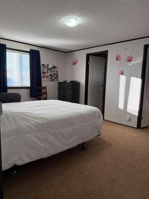 MLS&reg; # A2270107 - Unit #34 Eastview Estates Park   in NONE High Prairie, Mobile Open Houses