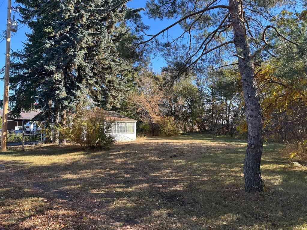 MLS&reg; # A2270212 - 4820 49   in Amisk Amisk, Land Open Houses