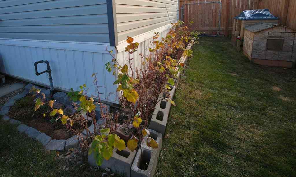 MLS&reg; # A2270214 - 331 3 Street NW in NONE Redcliff, Residential Open Houses