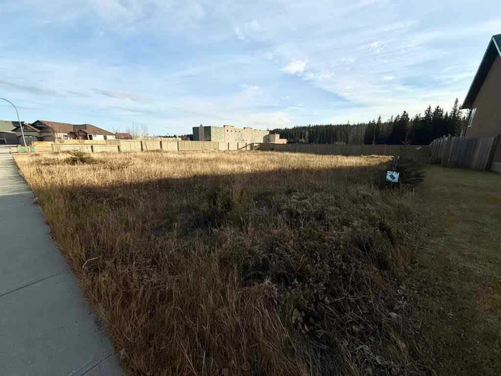 MLS&reg; # A2270342 - 208 TRESTLE Place  in Terrace Heights Hinton, Land Open Houses