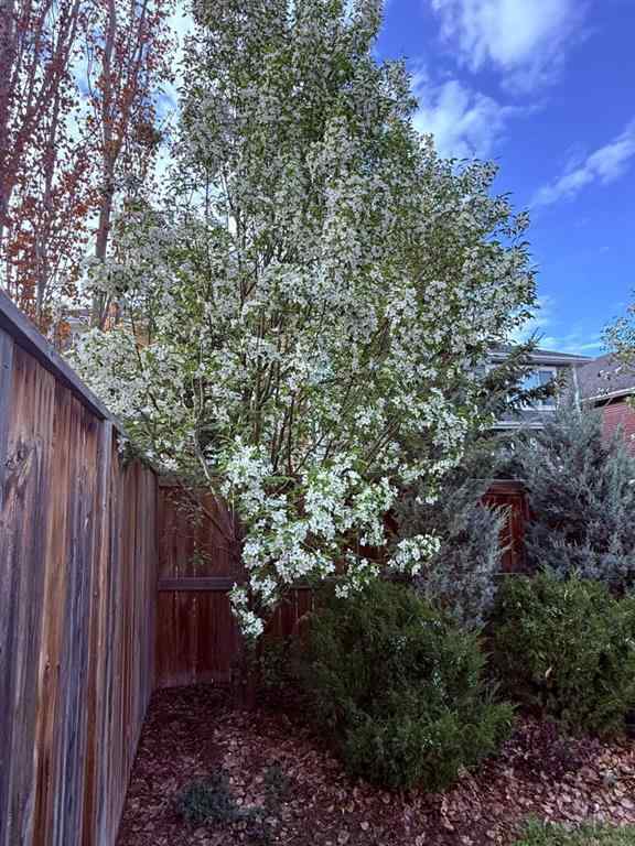 MLS&reg; # A2270385 - 786 River Heights Crescent  in River Song Cochrane, Residential Open Houses