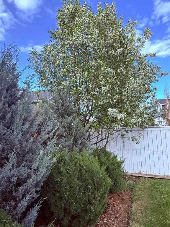 MLS&reg; # A2270385 - 786 River Heights Crescent  in River Song Cochrane, Residential Open Houses