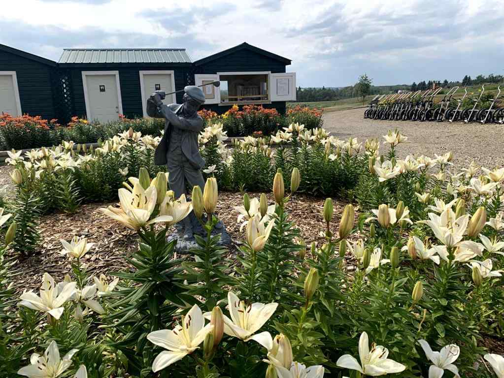 MLS&reg; # A2270438 - Unit #39212A  Highway 766 Highway  in NONE Rural Lacombe County, Commercial Open Houses