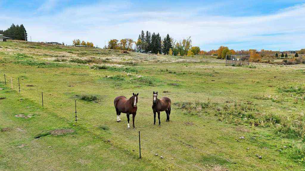 MLS&reg; # A2270438 - Unit #39212A  Highway 766 Highway  in NONE Rural Lacombe County, Commercial Open Houses