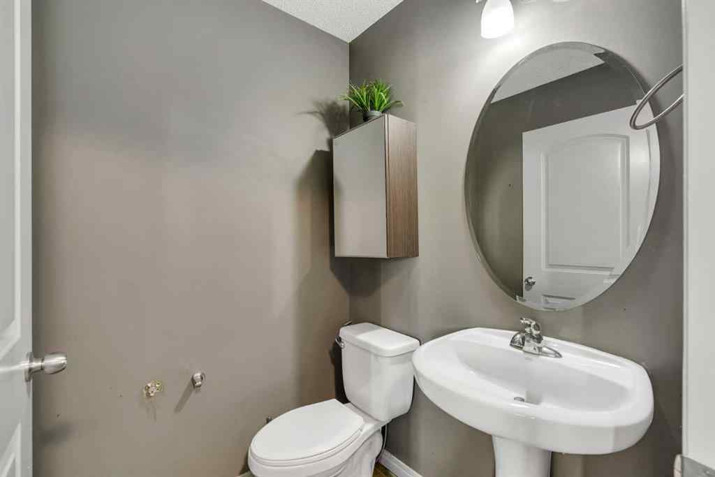 MLS® A2270503 - 41 Skyview Point Green NE in Skyview Ranch Calgary, Residential