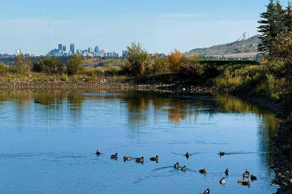 MLS&reg; # A2270567 - 31 Lynx Lane  in Springbank Links Rural Rocky View County, Residential Open Houses