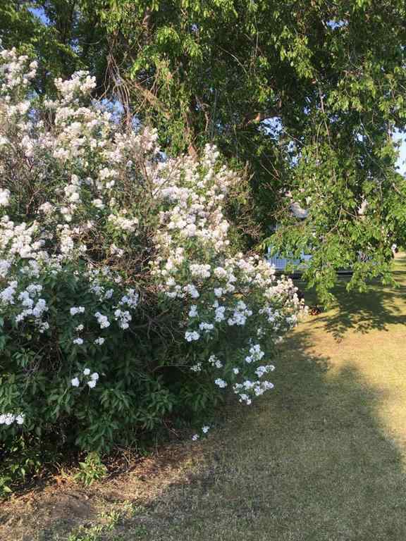 MLS&reg; # A2270638 - 5013 49 A Street   in Sedgewick Sedgewick, Residential Open Houses