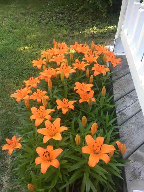 MLS&reg; # A2270638 - 5013 49 A Street   in Sedgewick Sedgewick, Residential Open Houses