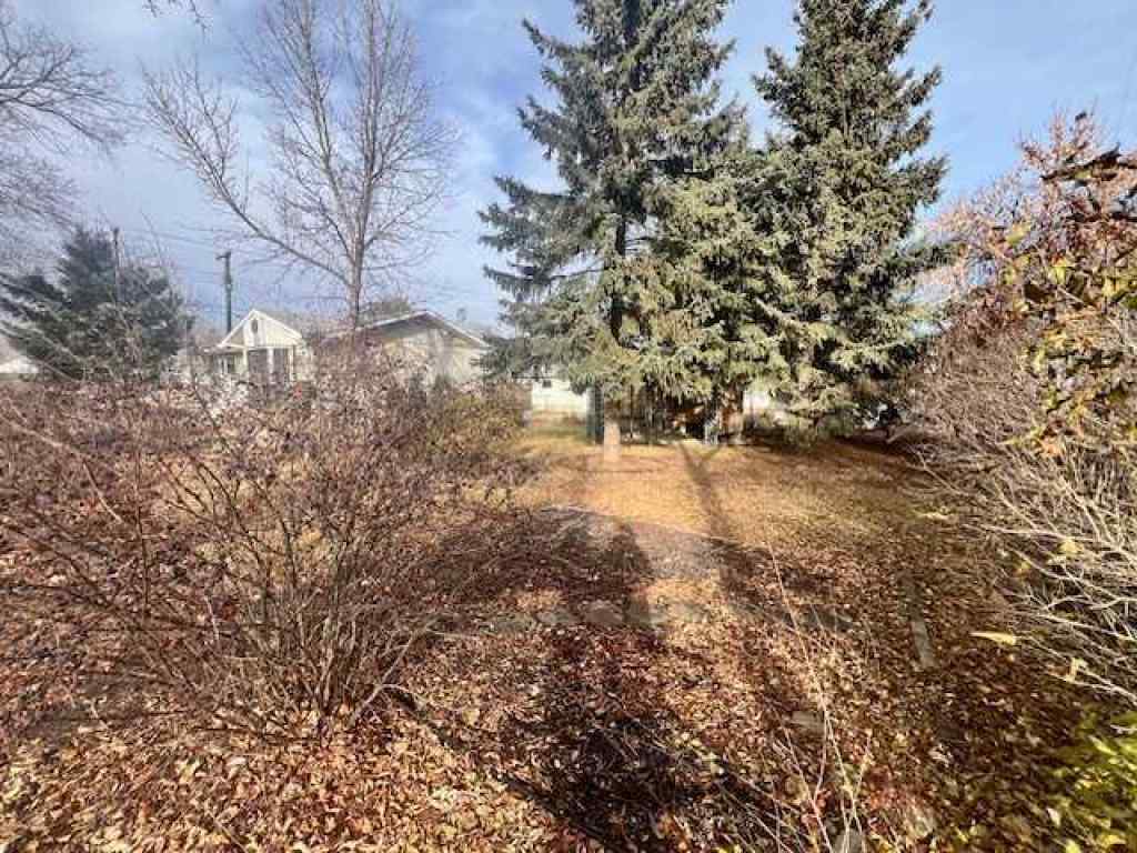 MLS&reg; # A2270717 - 4913 47 Avenue  in Forestburg Forestburg, Residential Open Houses