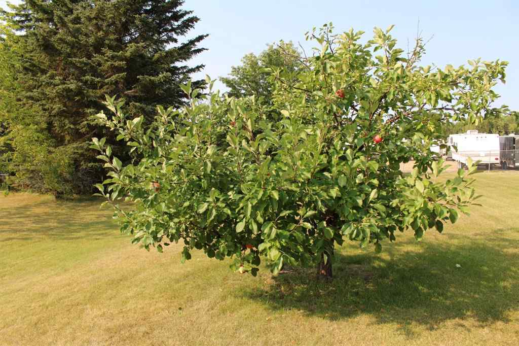 MLS&reg; # A2270909 - 702041 RGE RD 172   in NONE Breynat, Commercial Open Houses