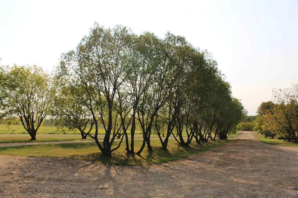 MLS&reg; # A2270909 - 702041 RGE RD 172   in NONE Breynat, Commercial Open Houses