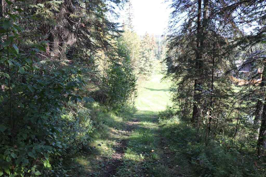 MLS&reg; # A2270966 -  SE-13-53-17   in NONE Rural Yellowhead County, Land Open Houses