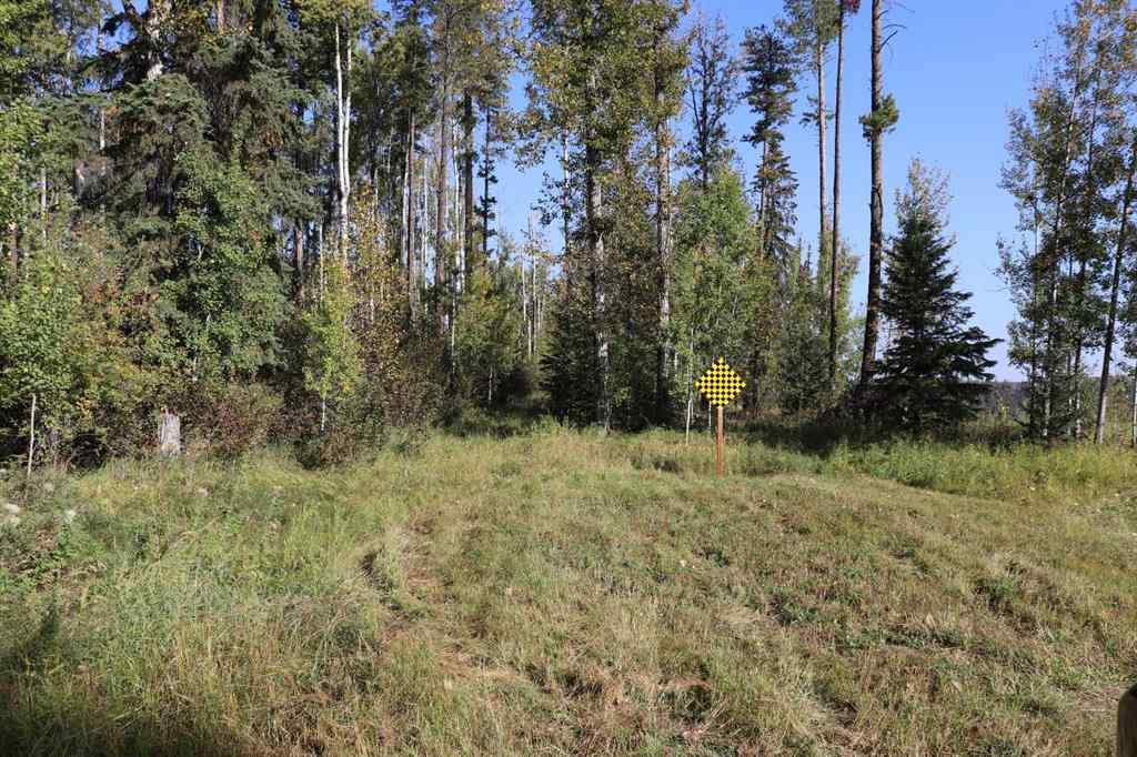 MLS&reg; # A2270966 -  SE-13-53-17   in NONE Rural Yellowhead County, Land Open Houses