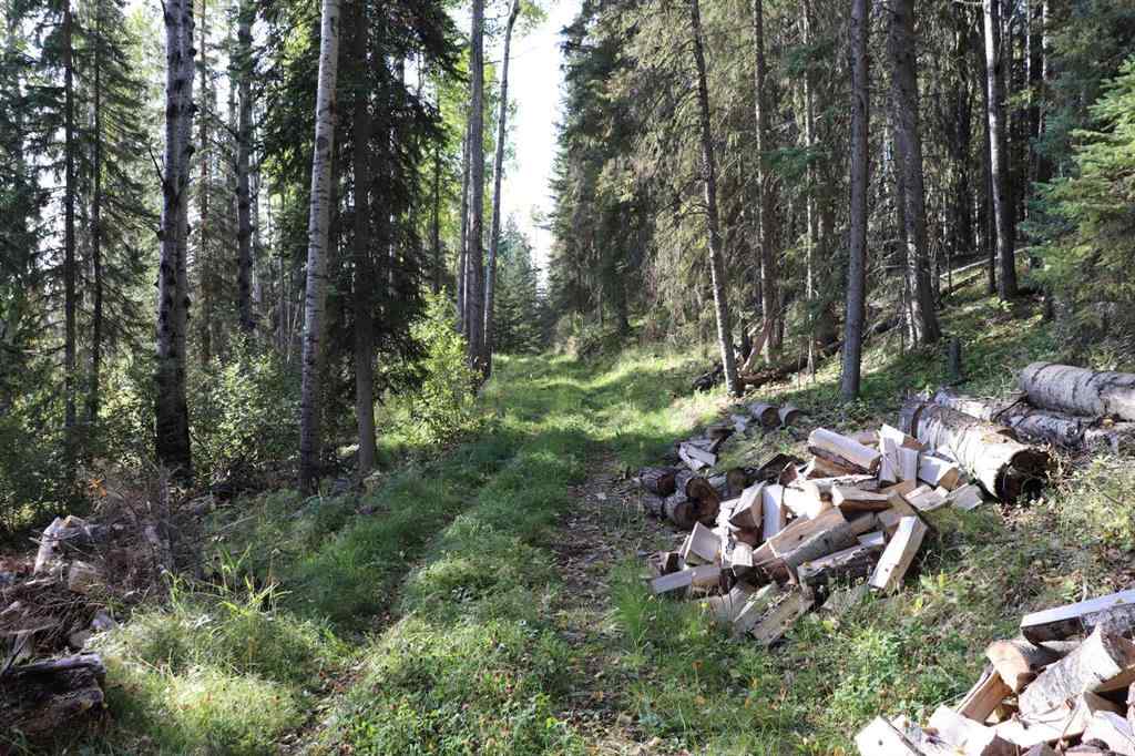 MLS&reg; # A2270966 -  SE-13-53-17   in NONE Rural Yellowhead County, Land Open Houses