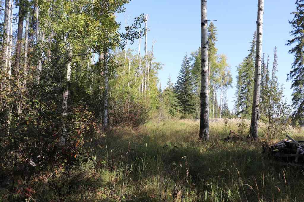 MLS&reg; # A2270966 -  SE-13-53-17   in NONE Rural Yellowhead County, Land Open Houses