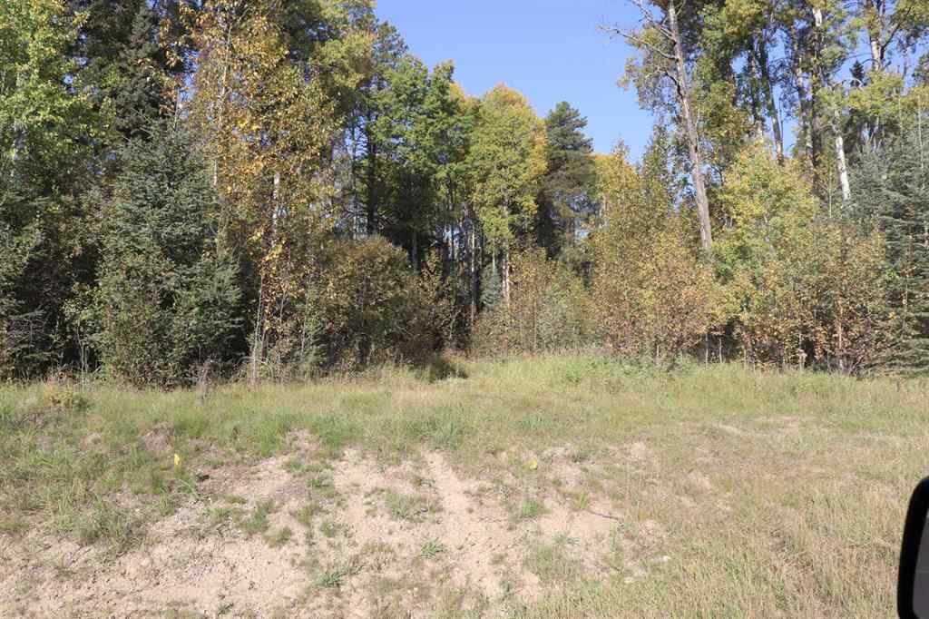 MLS&reg; # A2270966 -  SE-13-53-17   in NONE Rural Yellowhead County, Land Open Houses
