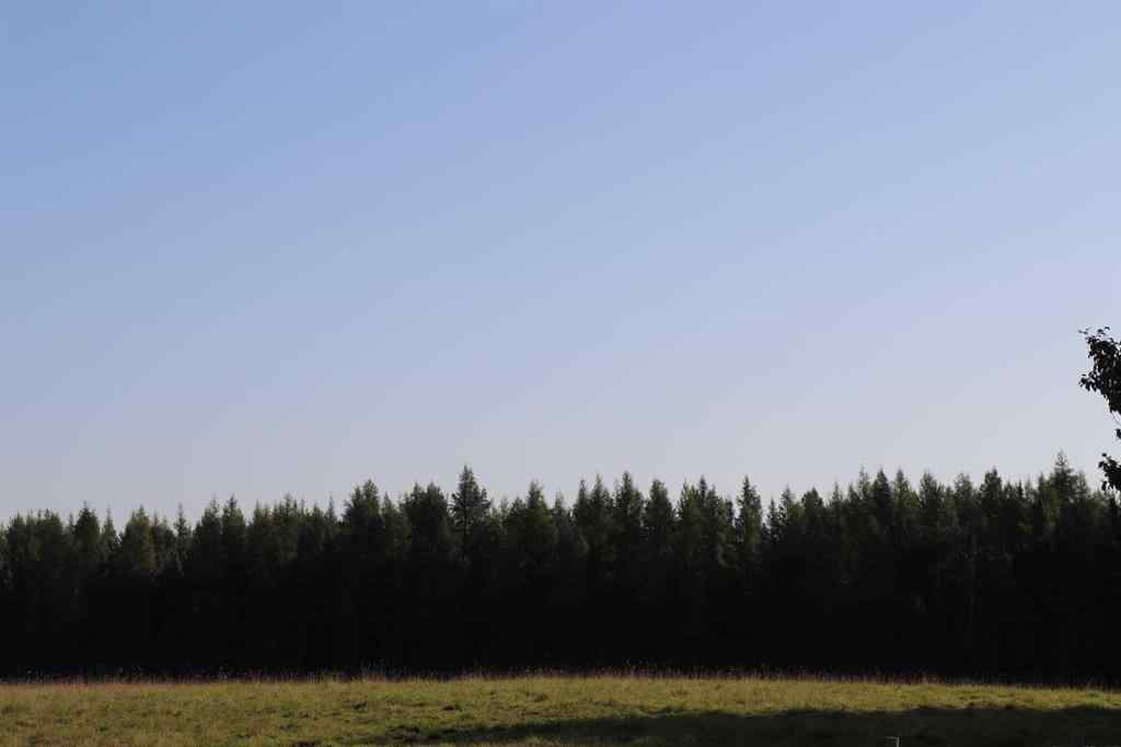 MLS&reg; # A2270966 -  SE-13-53-17   in NONE Rural Yellowhead County, Land Open Houses