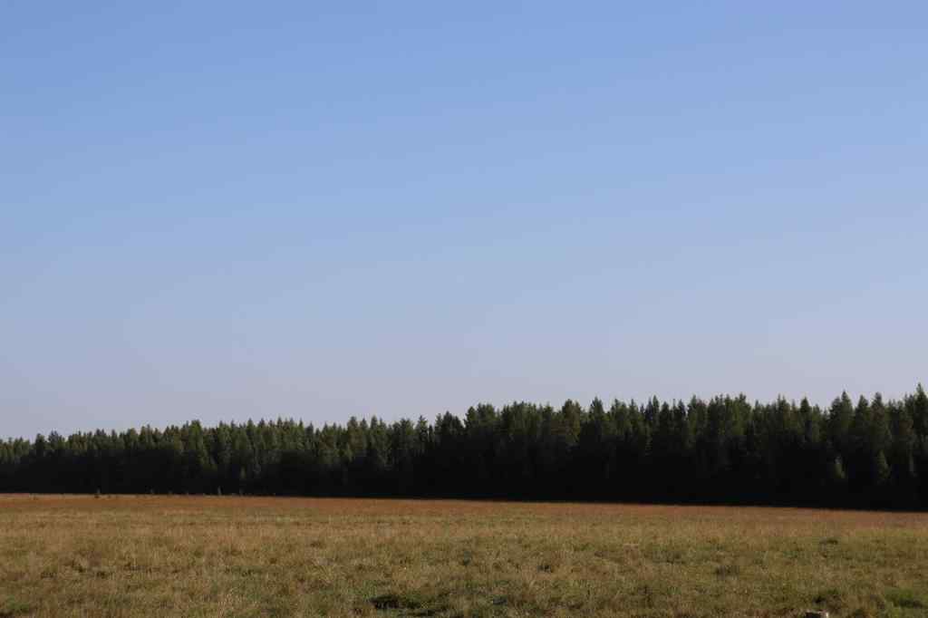 MLS&reg; # A2270966 -  SE-13-53-17   in NONE Rural Yellowhead County, Land Open Houses