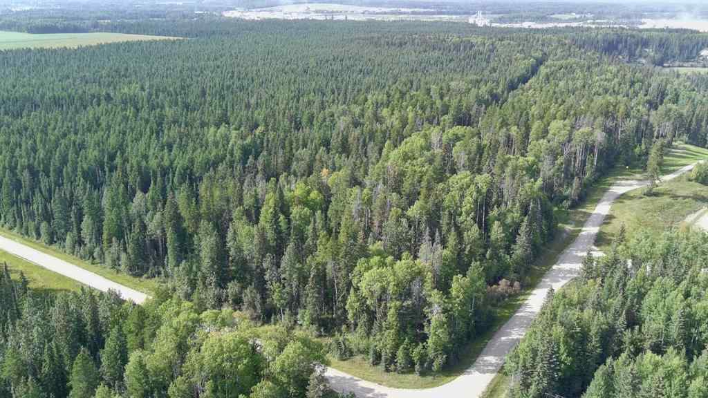 MLS&reg; # A2270966 -  SE-13-53-17   in NONE Rural Yellowhead County, Land Open Houses