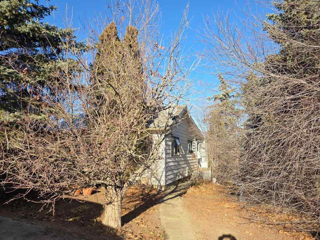 MLS&reg; # A2271030 - 217 1 Street N in NONE Lomond, Residential Open Houses