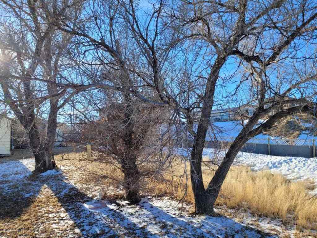 MLS&reg; # A2271030 - 217 1 Street N in NONE Lomond, Residential Open Houses