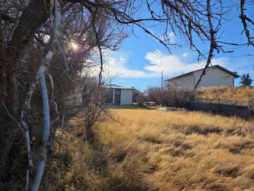 MLS&reg; # A2271030 - 217 1 Street N in NONE Lomond, Residential Open Houses