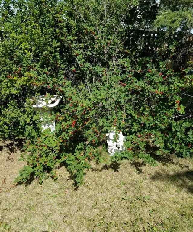 MLS&reg; # A2271030 - 217 1 Street N in NONE Lomond, Residential Open Houses