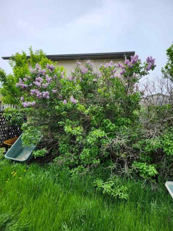 MLS&reg; # A2271030 - 217 1 Street N in NONE Lomond, Residential Open Houses