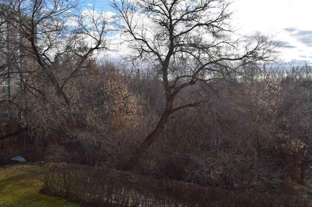 MLS&reg; # A2271082 - Unit #202 5211 39 Street  in South Hill Red Deer, Residential Open Houses