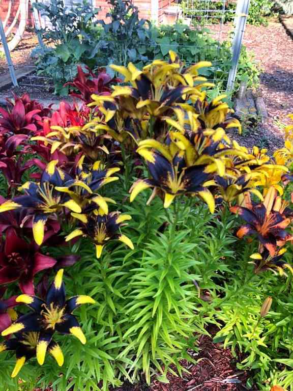 MLS&reg; # A2271421 - 241023 HWY 2   in NONE Rural Peace No. 135, M.D. of, Residential Open Houses