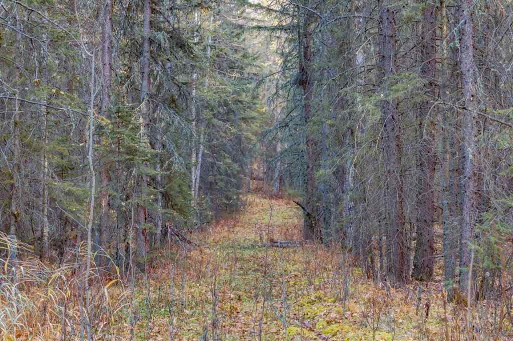 MLS® # A2271485 - Unit #10 32376 Highway 760   in NONE Rural Mountain View County, Residential Open Houses