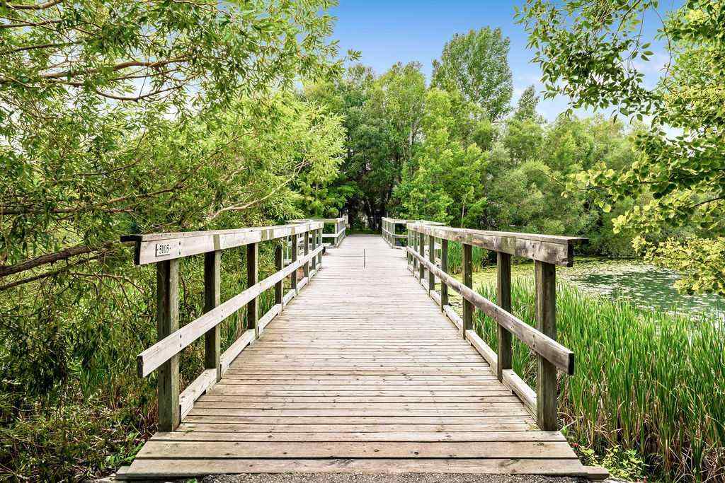 MLS® A2271540 - 119 Bridlecreek Terrace  in Bridlewood Calgary, Residential