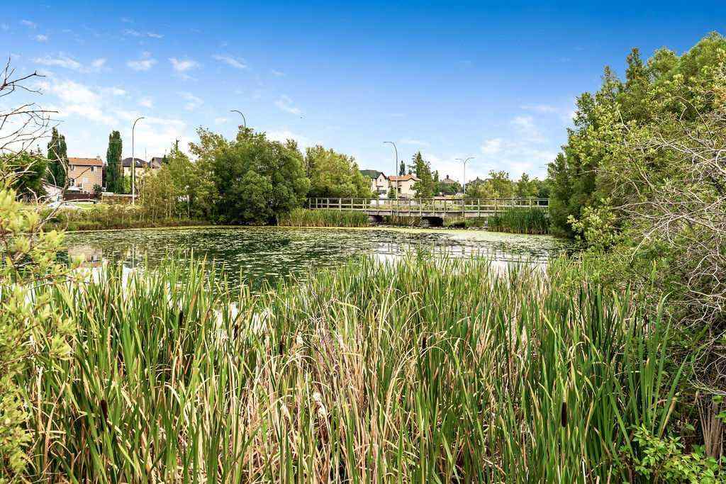 MLS® A2271540 - 119 Bridlecreek Terrace  in Bridlewood Calgary, Residential