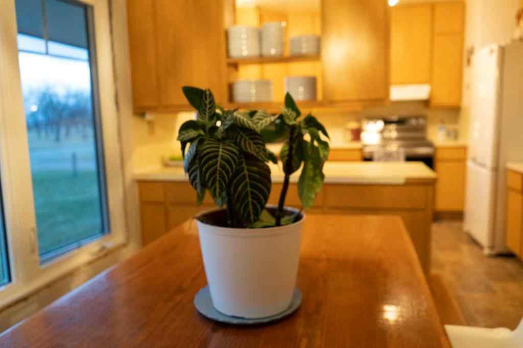 MLS&reg; # A2271679 - 230 E 100 S Street  in NONE Raymond, Residential Open Houses