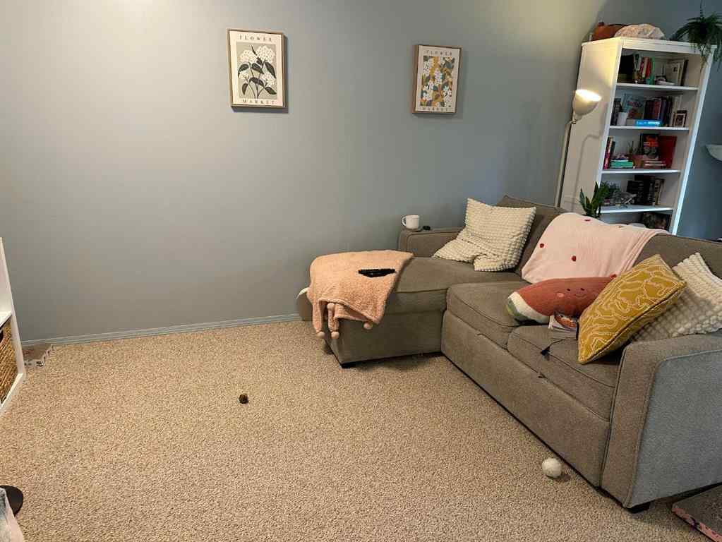 MLS&reg; # A2271749 - Unit #A & B 4923 53 Street  in NONE Rocky Mountain House, Residential Open Houses